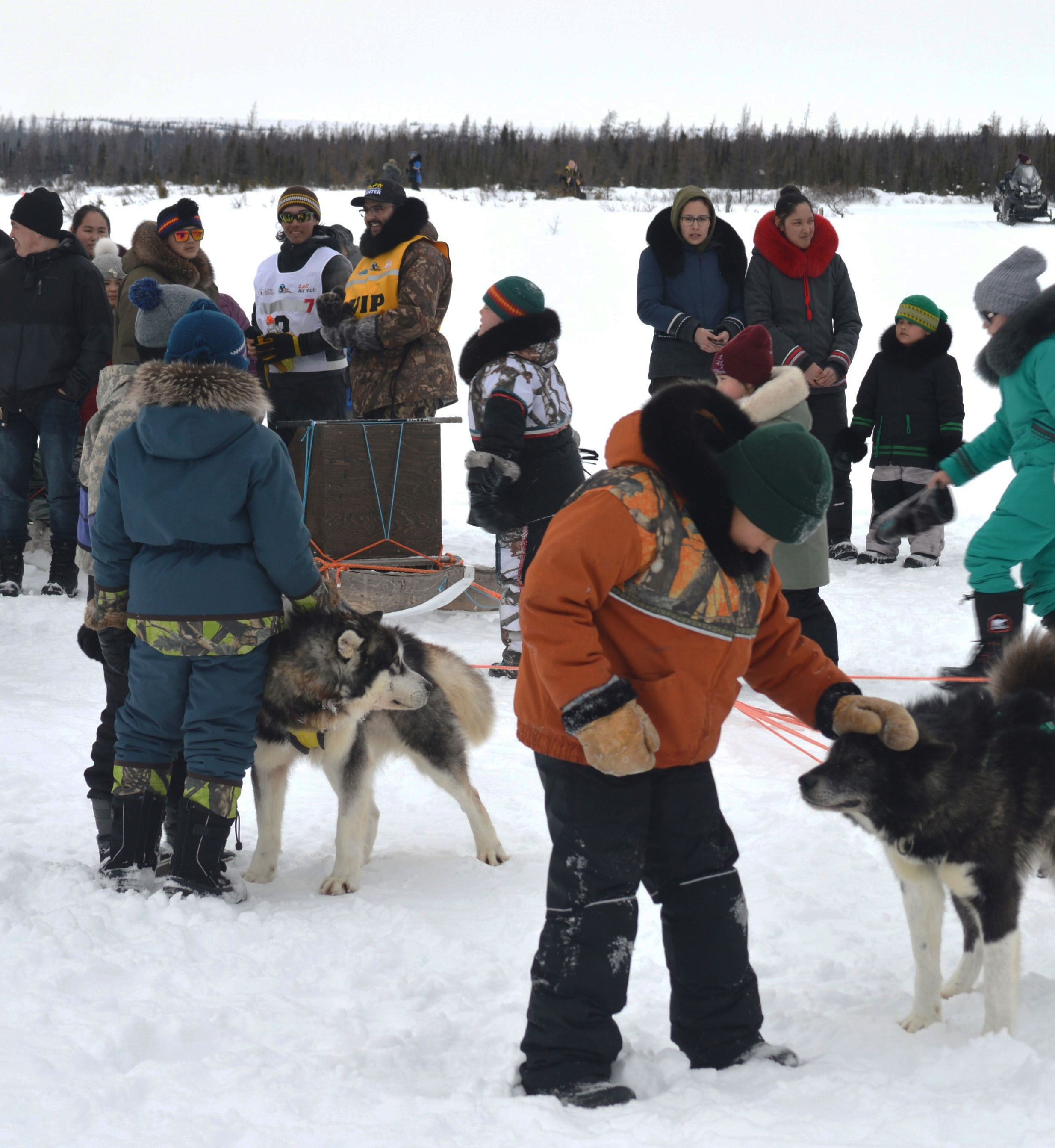 Ivakkak sled race - Kuujjuaq.jpg (607 KB)